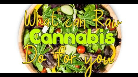 What can raw cannabis do for you?